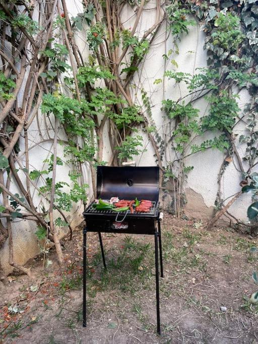 Etage De Villa Avec Jardin, Pres De L'Aireport Et Parking Prive Ariana Dış mekan fotoğraf