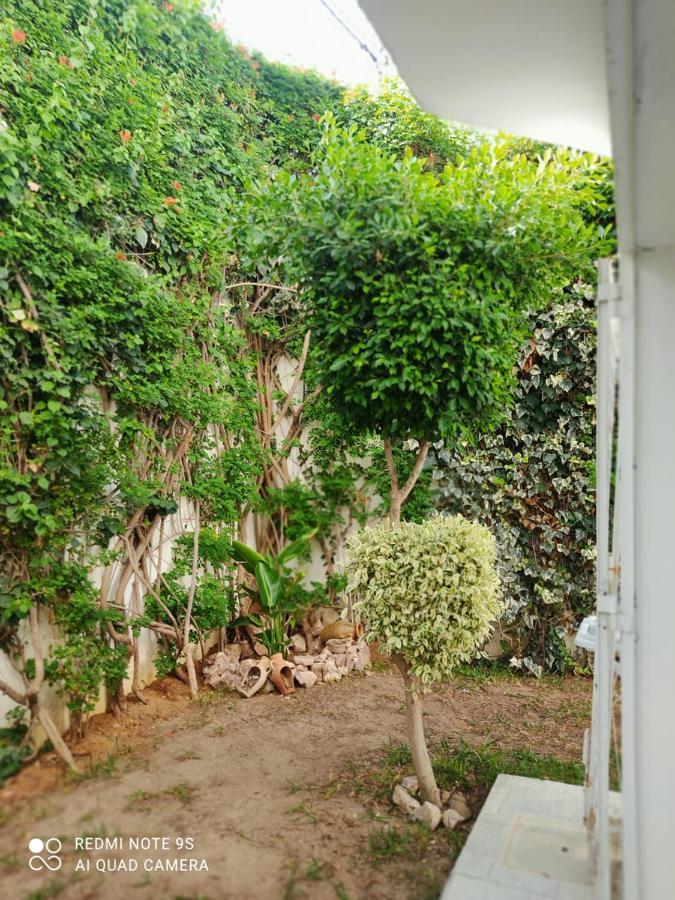 Etage De Villa Avec Jardin, Pres De L'Aireport Et Parking Prive Ariana Dış mekan fotoğraf