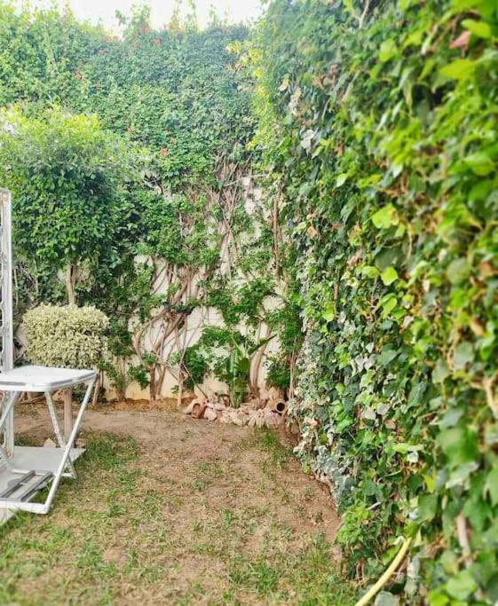 Etage De Villa Avec Jardin, Pres De L'Aireport Et Parking Prive Ariana Dış mekan fotoğraf
