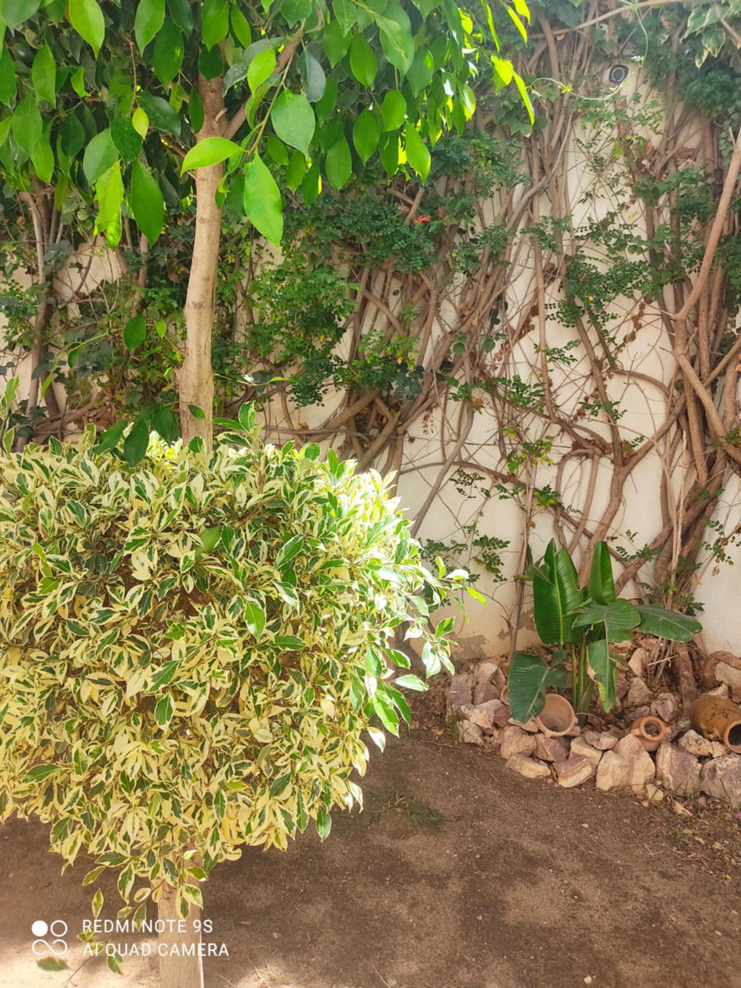 Etage De Villa Avec Jardin, Pres De L'Aireport Et Parking Prive Ariana Dış mekan fotoğraf