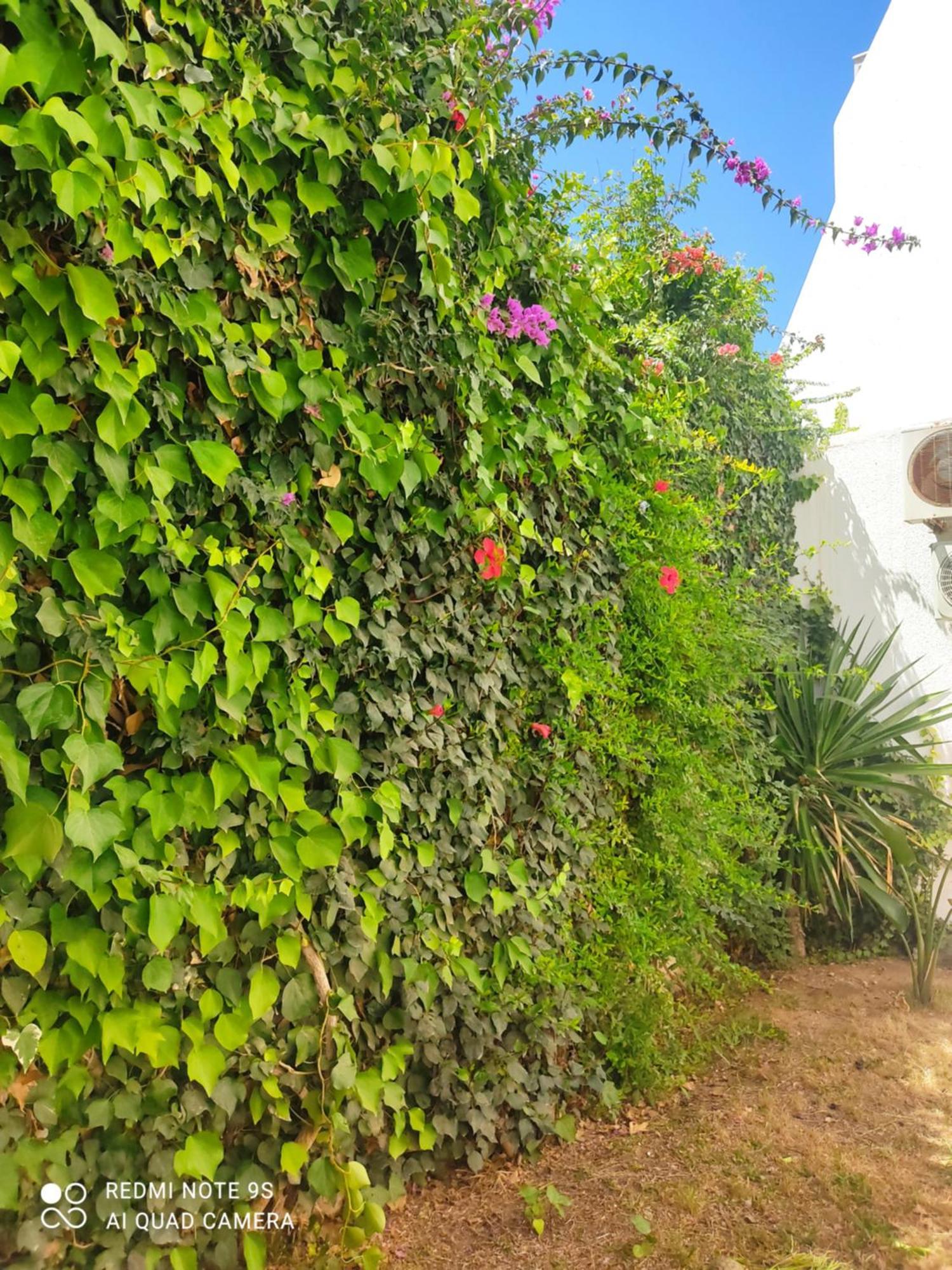 Etage De Villa Avec Jardin, Pres De L'Aireport Et Parking Prive Ariana Dış mekan fotoğraf
