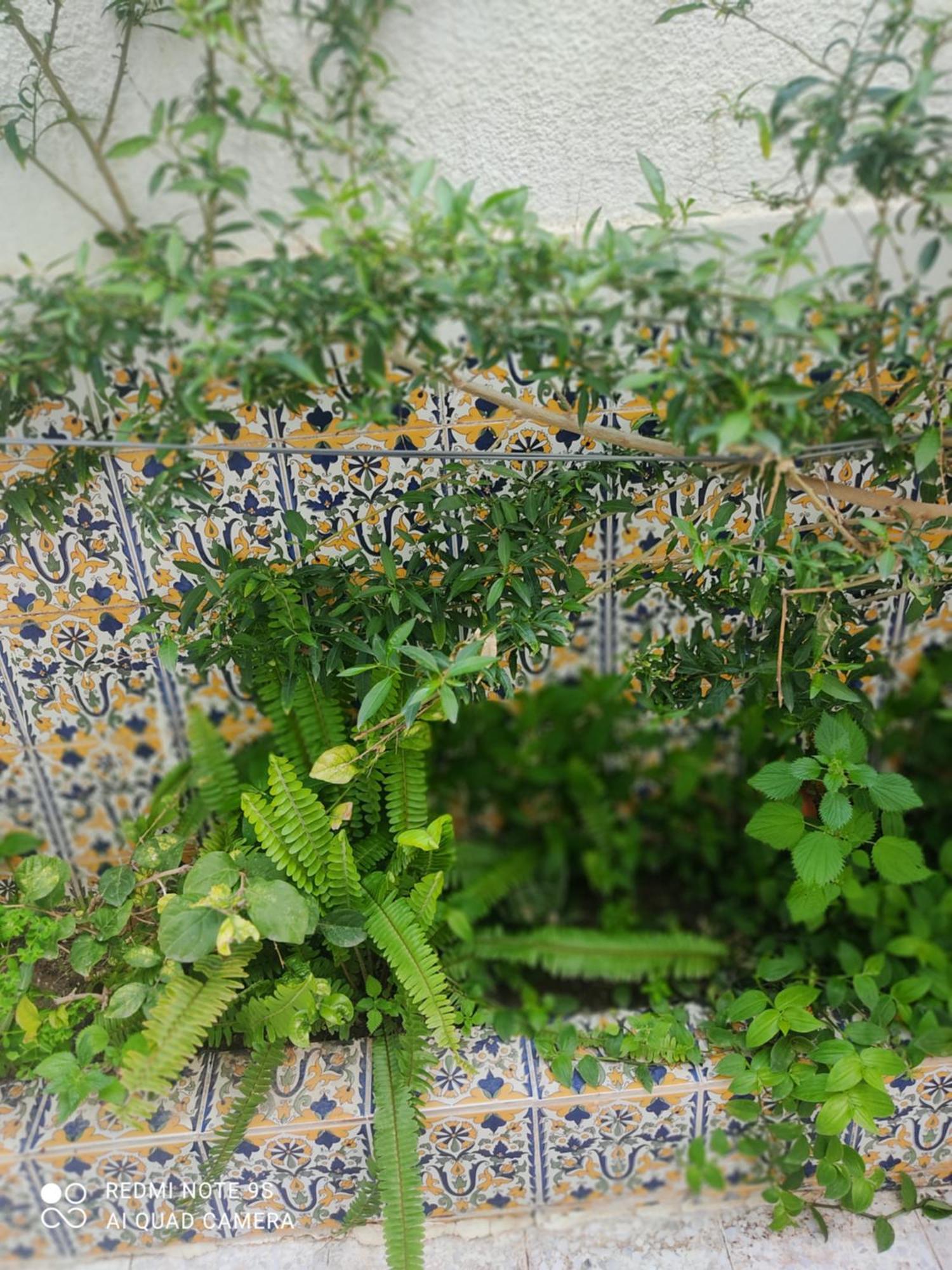 Etage De Villa Avec Jardin, Pres De L'Aireport Et Parking Prive Ariana Dış mekan fotoğraf